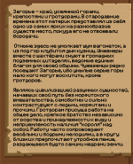 Без имени-1.png