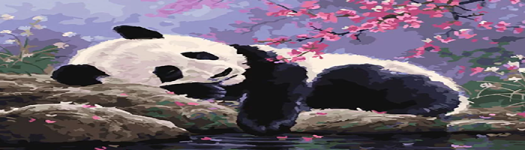 Без имени-3.png