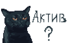 котик Актива.png