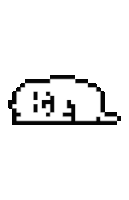 1000008002.gif
