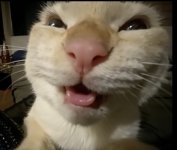 Screenshot_20250423_142151_TikTok.jpg