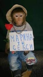 обезяна.jpg