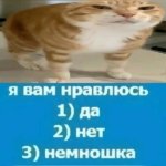 IMG_0456.jpeg
