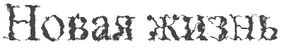 1746358081996.png