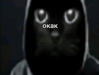 Screenshot_20250508_205749_TikTok.jpg