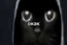 1747572160757.png