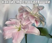 IMG_20250519_031041.jpg