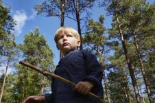 stock-photo-boy-standing-forest-holding-stick.jpg