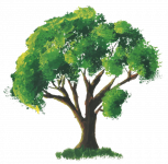 1655272922_24-papik-pro-p-anime-tree-drawing-24.png