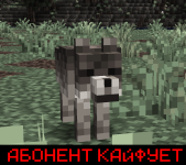 Без имени-4.png