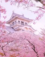 1663593921_33-mykaleidoscope-ru-p-sad-sakuri-v-yaponii-pinterest-34.jpg