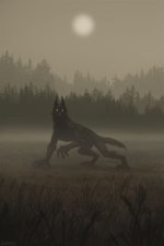 6e5fcbf46da738e013def8c10c52d785.jpg 6e5fcbf46da738e013def8c10c52d785.jpg